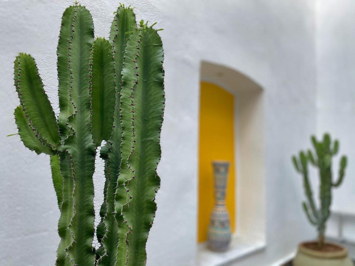 Dar El Kif - La Marsa Bed & Breakfast Bagian luar foto